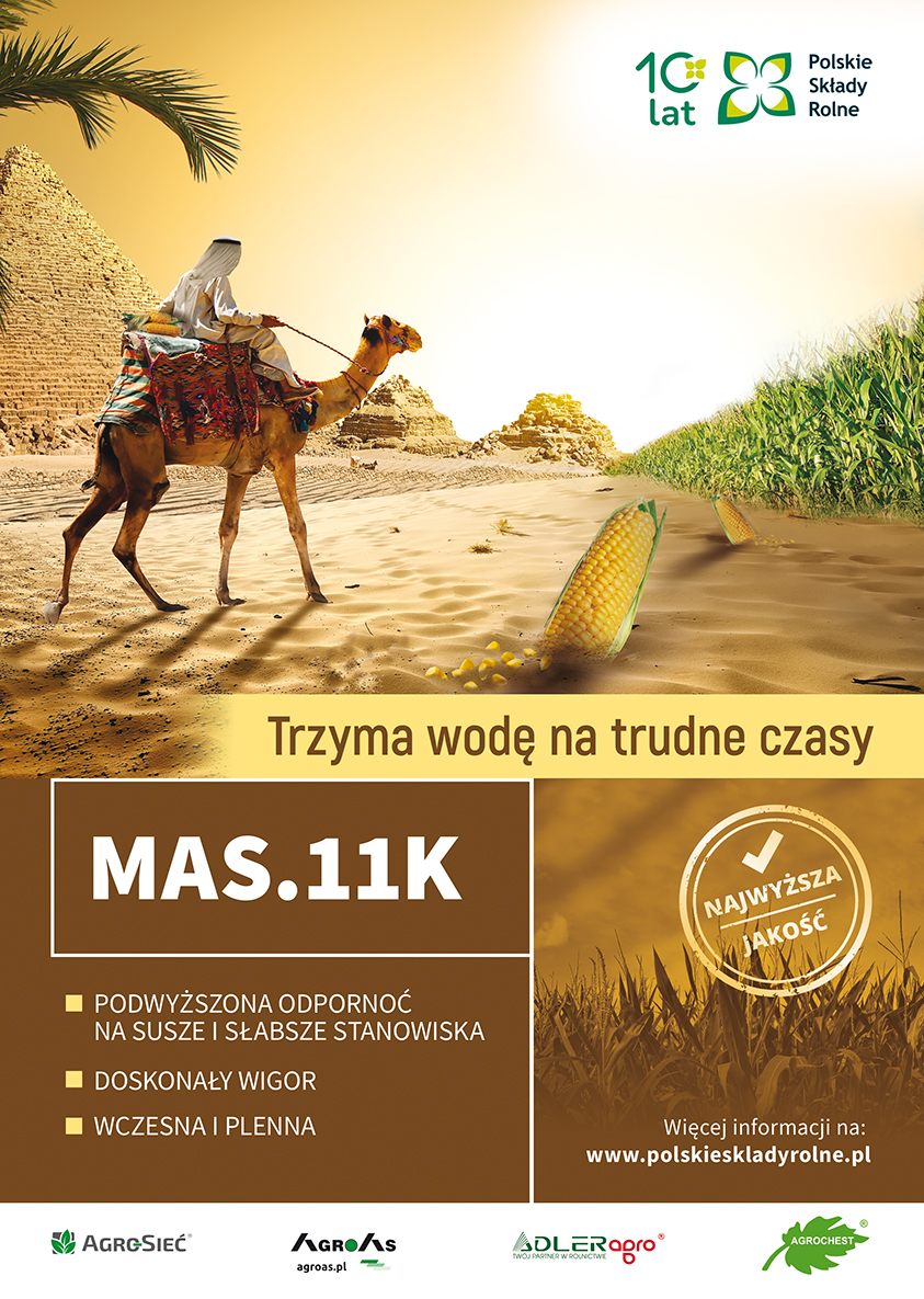 MASS 11K_kukurydza