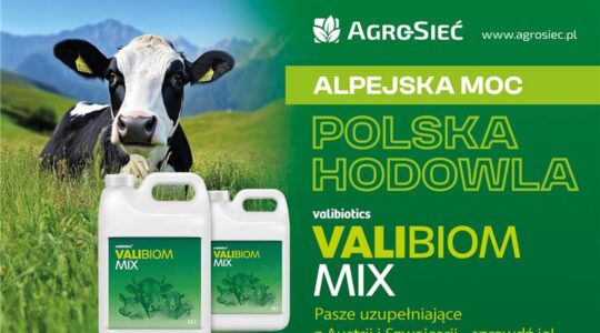 valibiom mix skład analiza naukowa