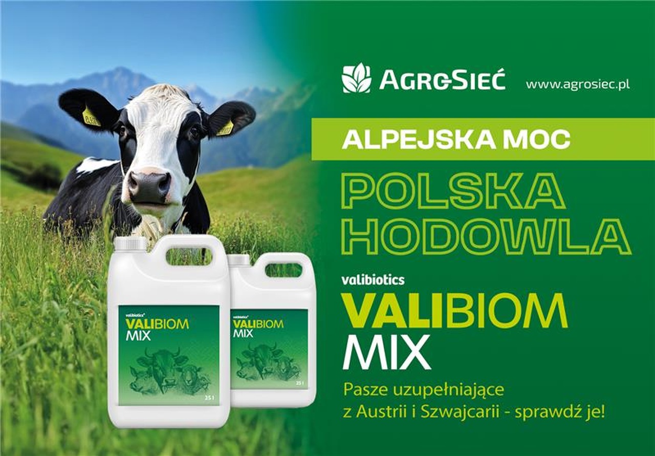 valibiom mix skład analiza naukowa